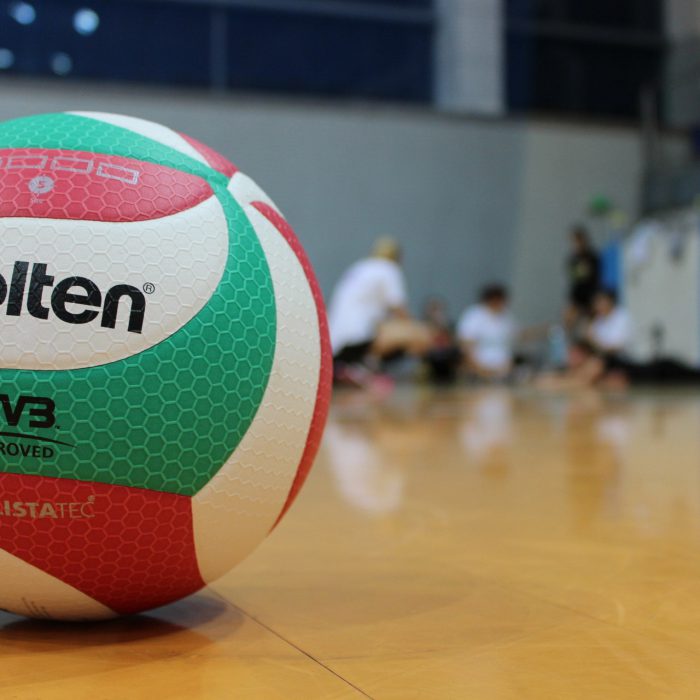 Volleyball